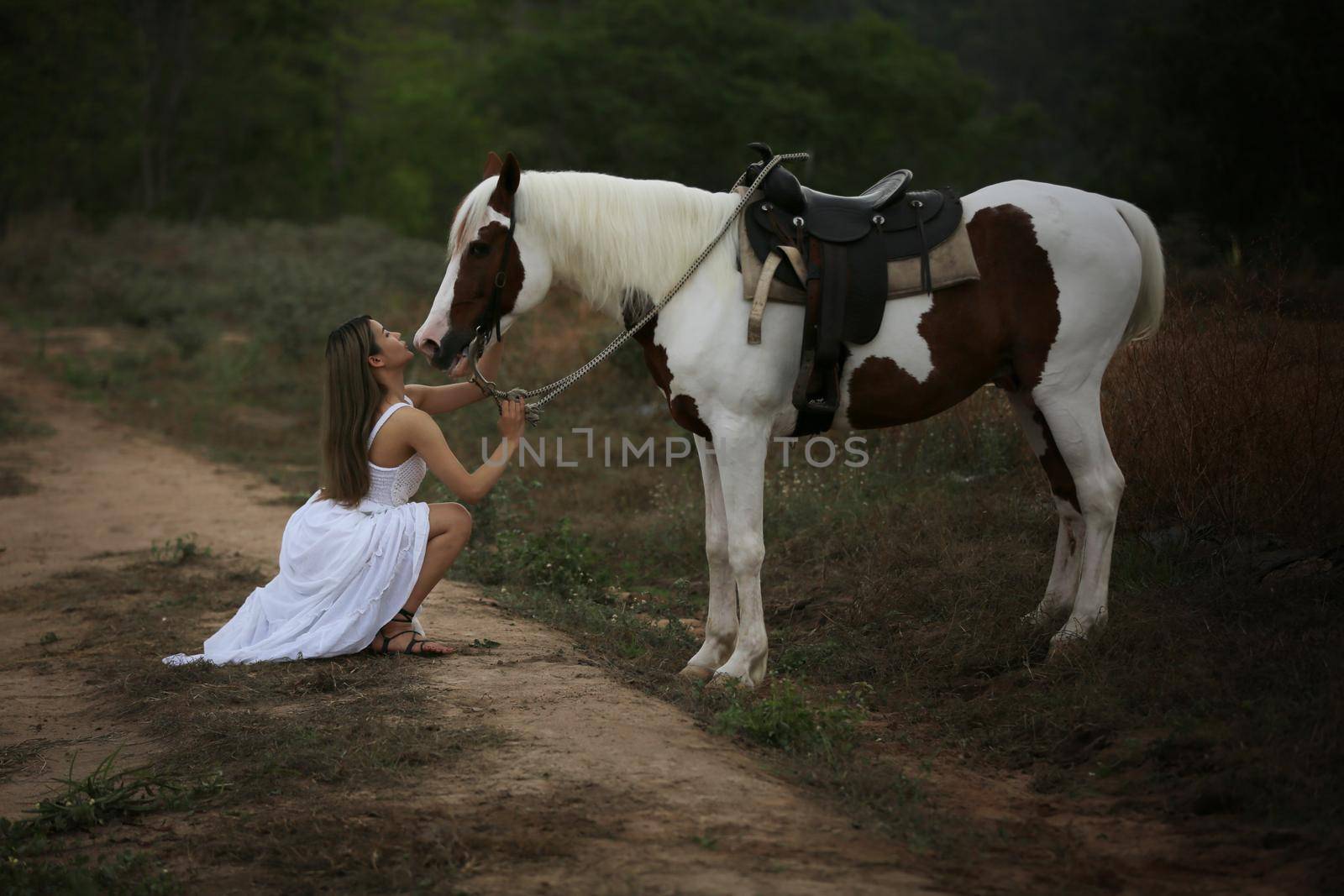 Women on skirt dress Riding Horses On field landscape Against Sky During Sunset