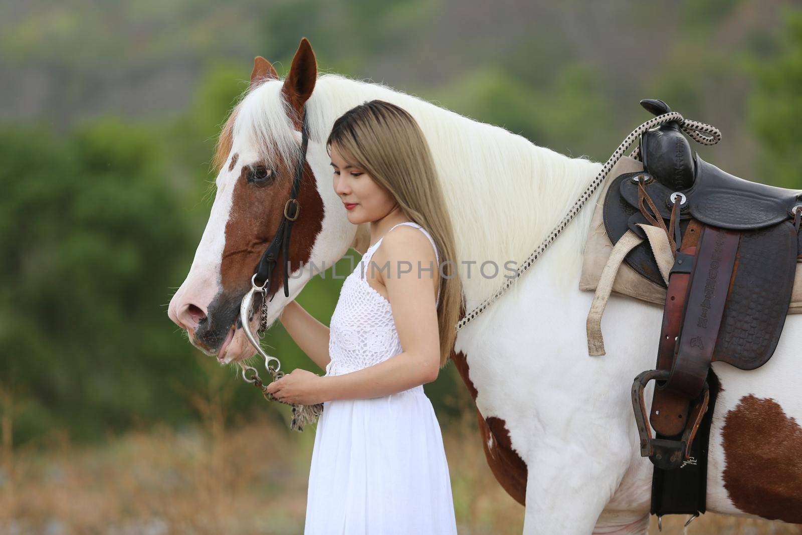 Women on skirt dress Riding Horses On field landscape Against Sky During Sunset