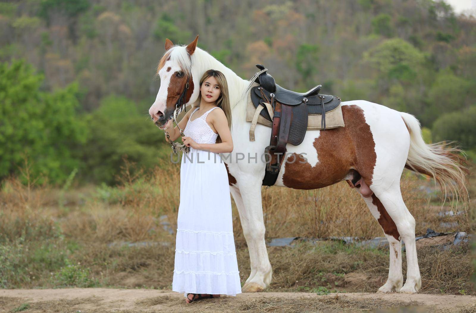 Women on skirt dress Riding Horses On field landscape Against Sky During Sunset