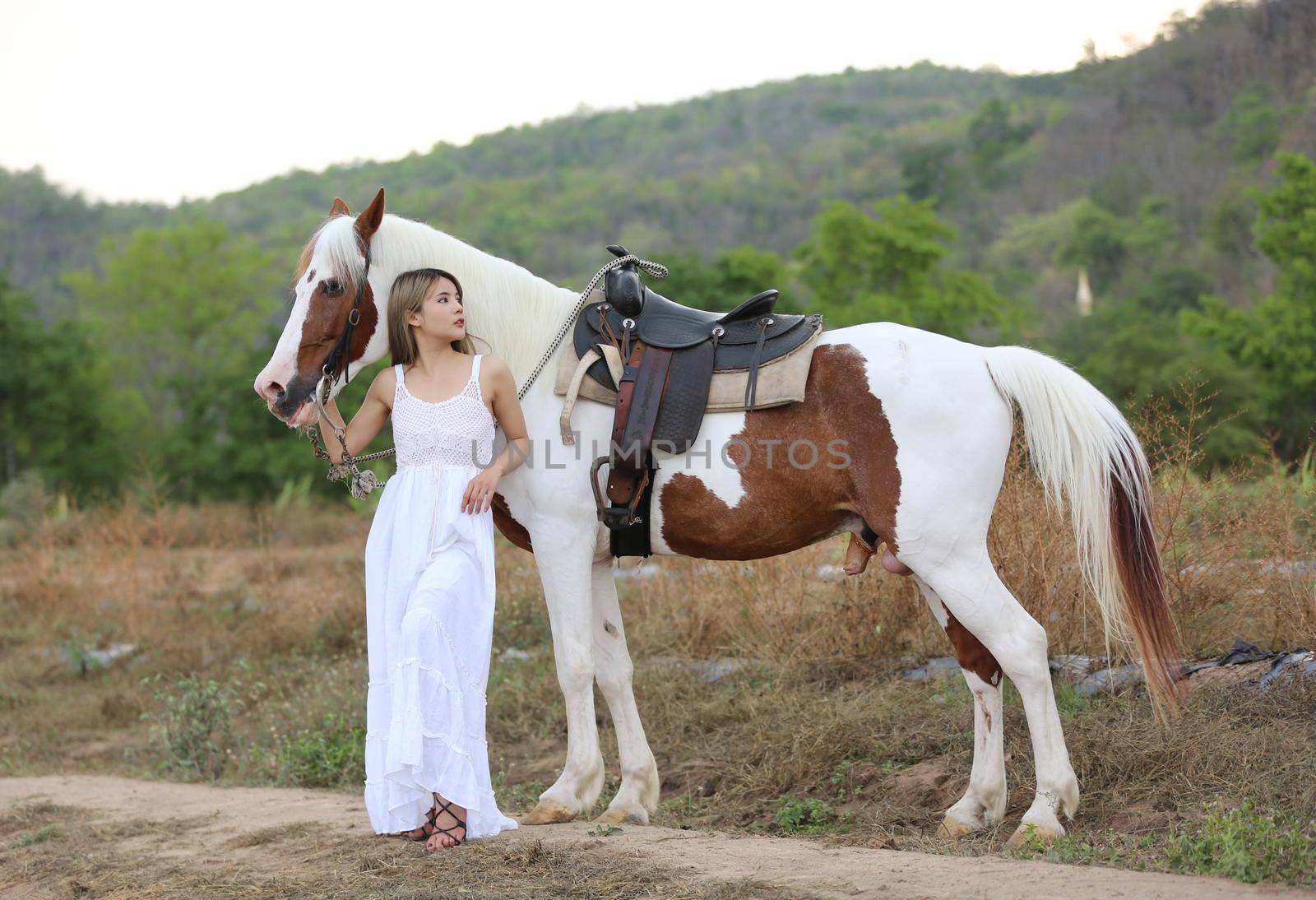 Women on skirt dress Riding Horses On field landscape Against Sky During Sunset