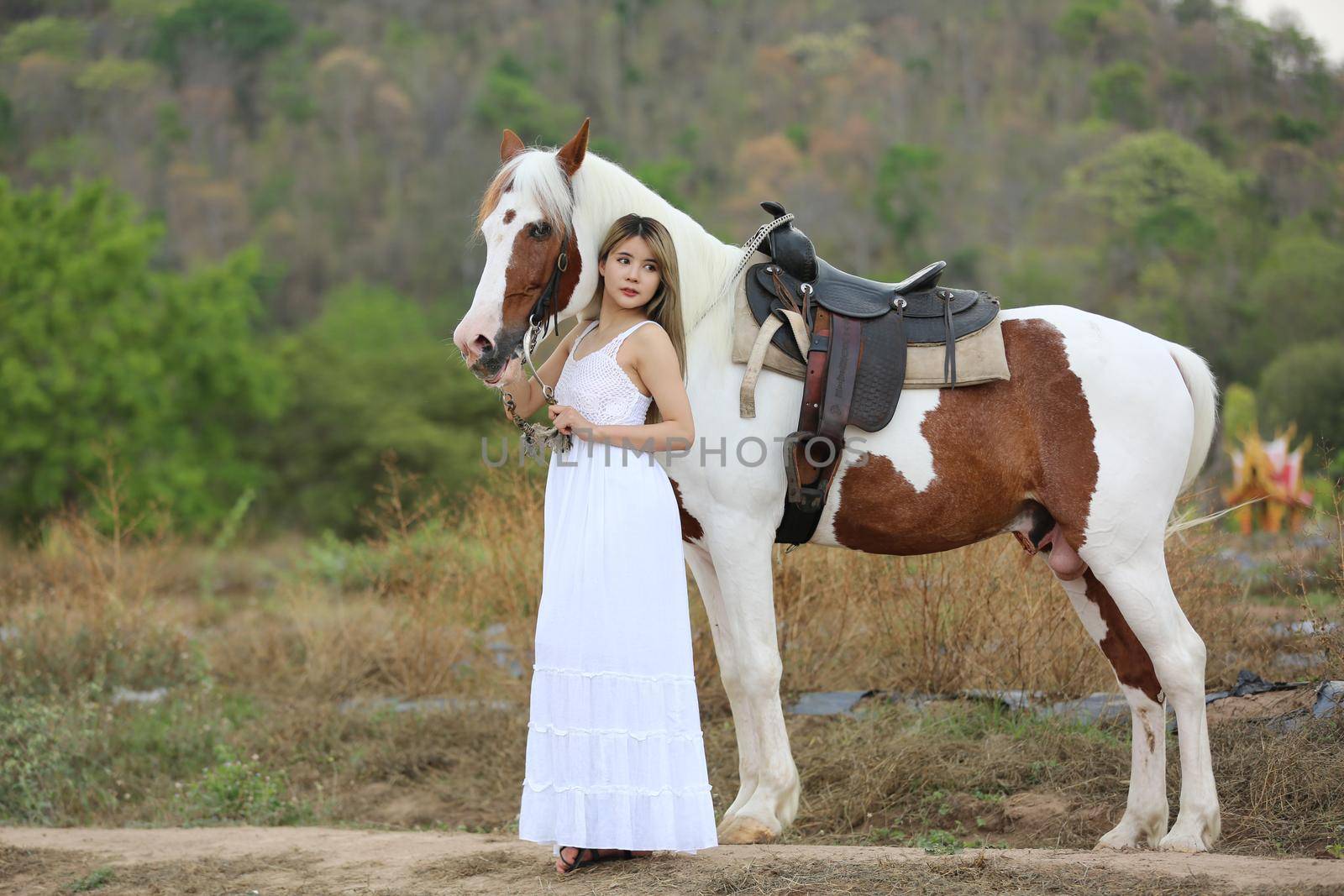 Women on skirt dress Riding Horses On field landscape Against Sky During Sunset
