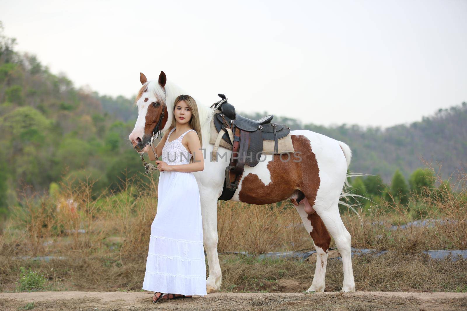 Women on skirt dress Riding Horses On field landscape Against Sky During Sunset