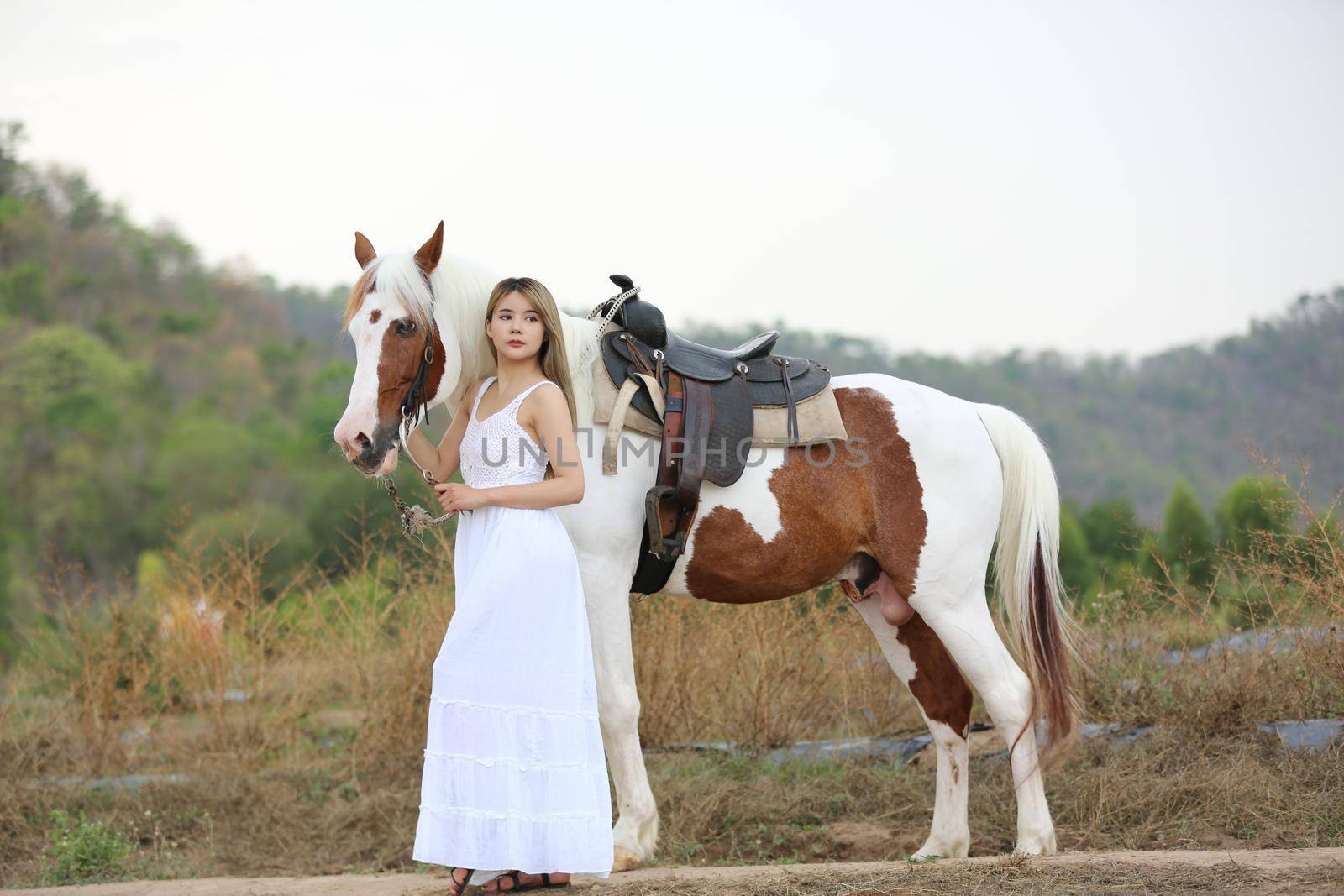 Women on skirt dress Riding Horses On field landscape Against Sky During Sunset