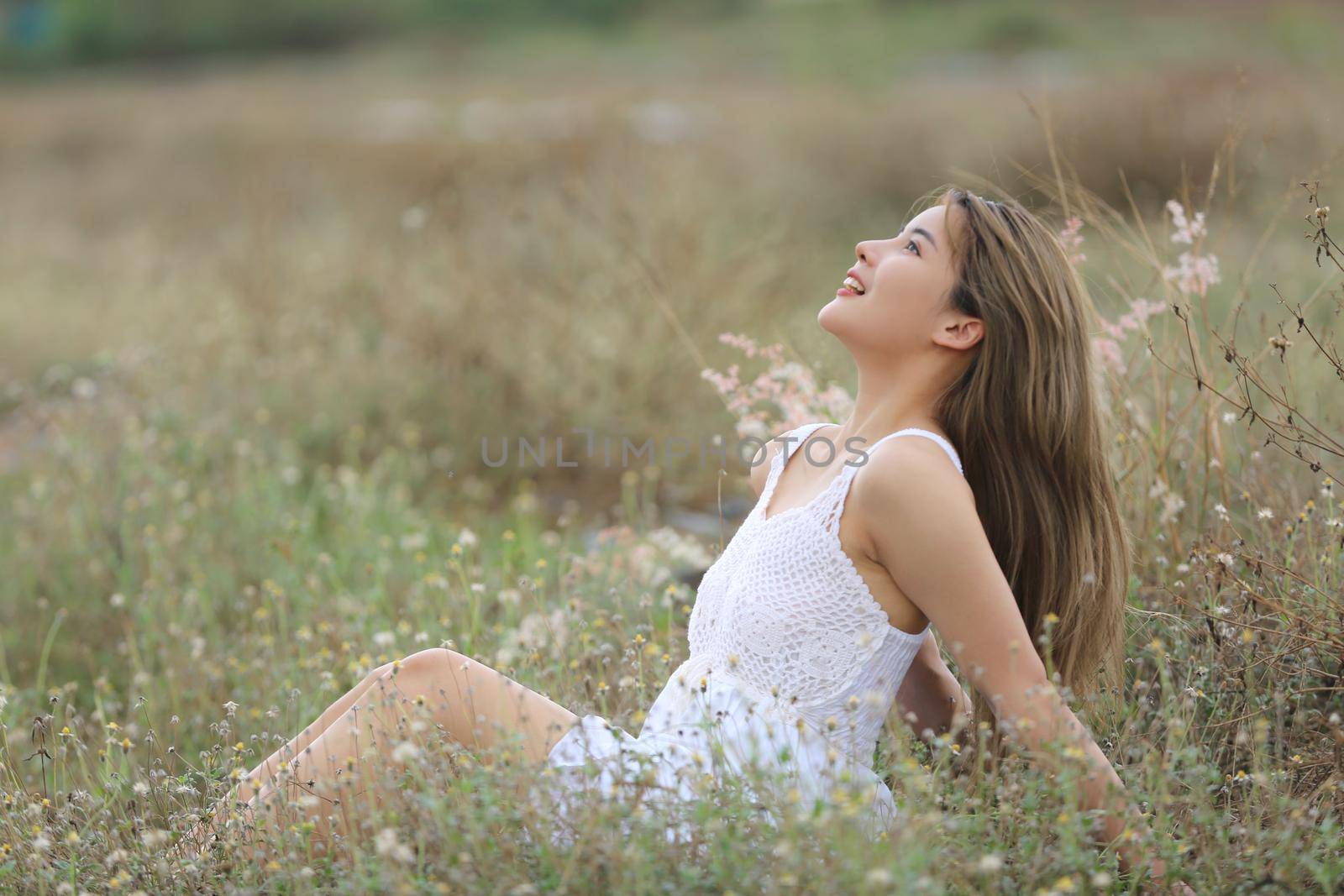 A beautiful woman with long hair in a dress sitting on a meadow and flowers in the evening light.