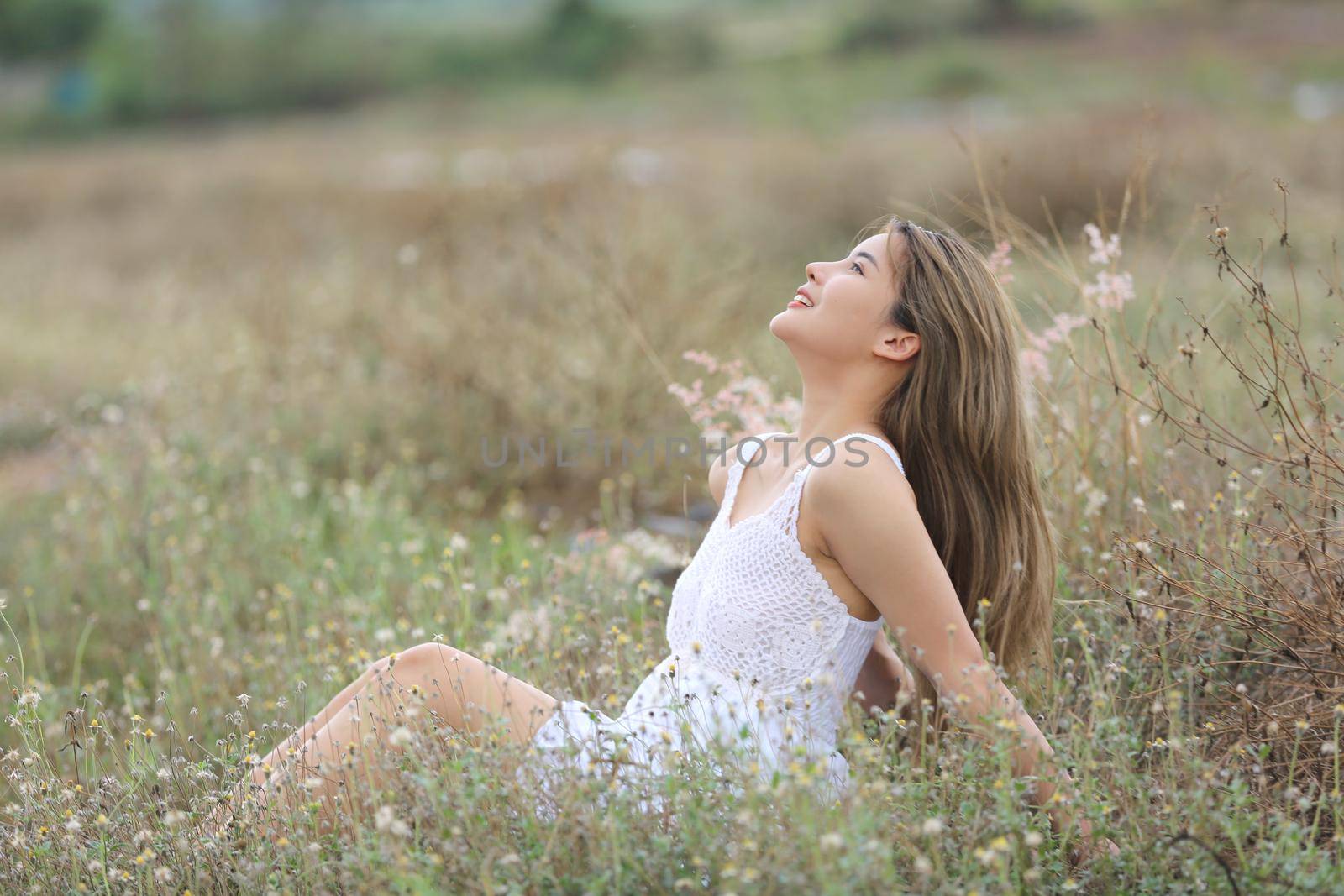A beautiful woman with long hair in a dress sitting on a meadow and flowers in the evening light.