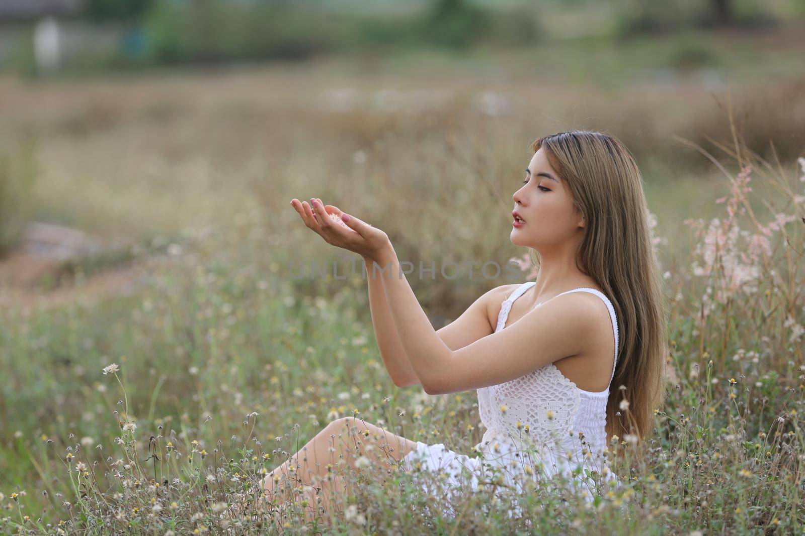 A beautiful woman with long hair in a dress sitting on a meadow and flowers in the evening light.