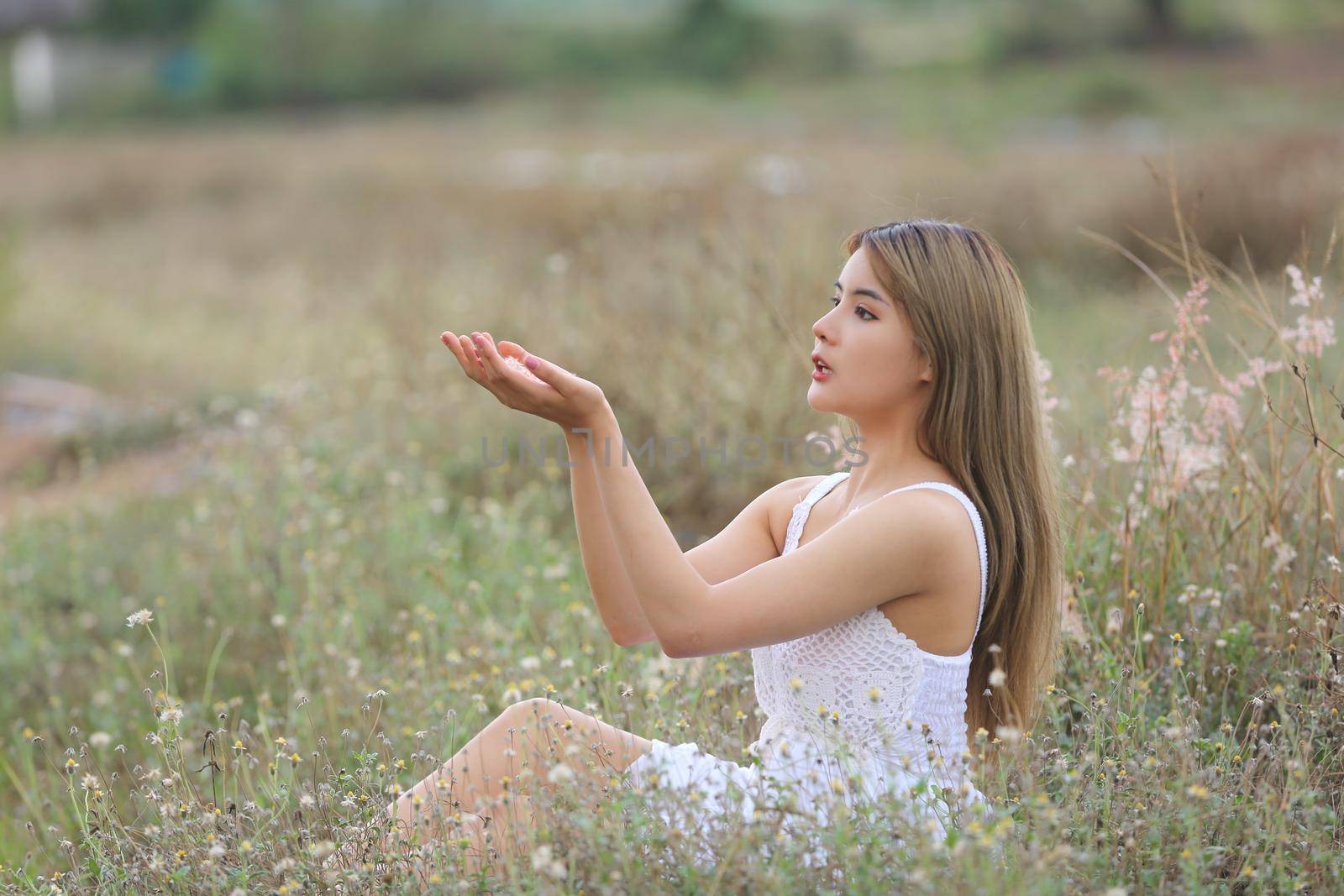 A beautiful woman with long hair in a dress sitting on a meadow and flowers in the evening light.