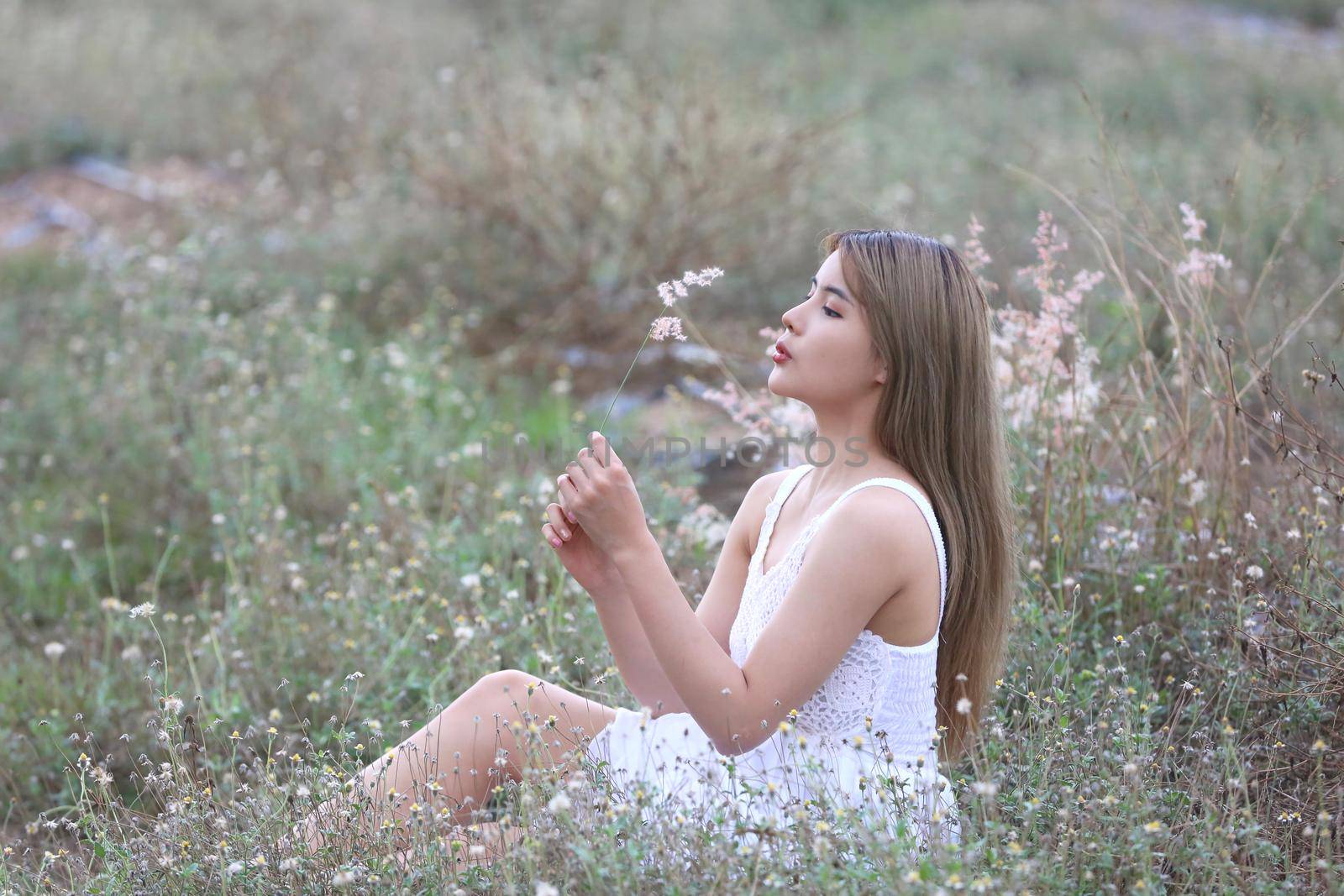 A beautiful woman with long hair in a dress sitting on a meadow and flowers in the evening light.