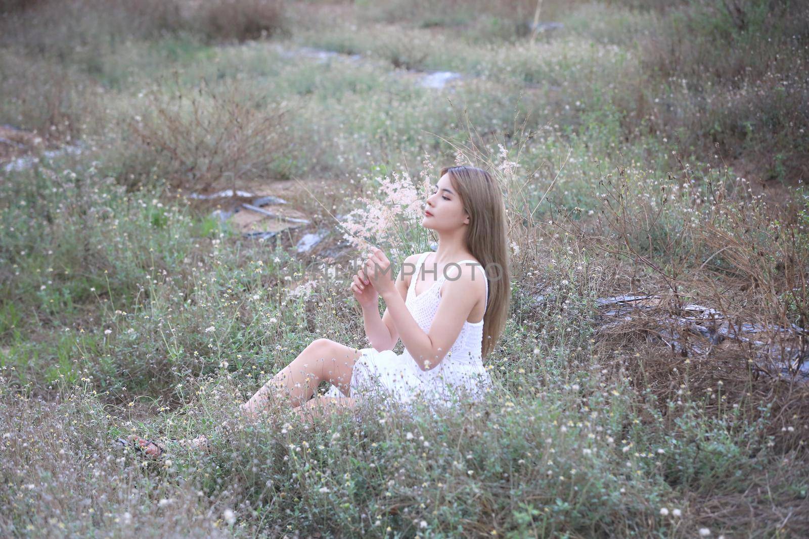 A beautiful woman with long hair in a dress sitting on a meadow and flowers in the evening light.