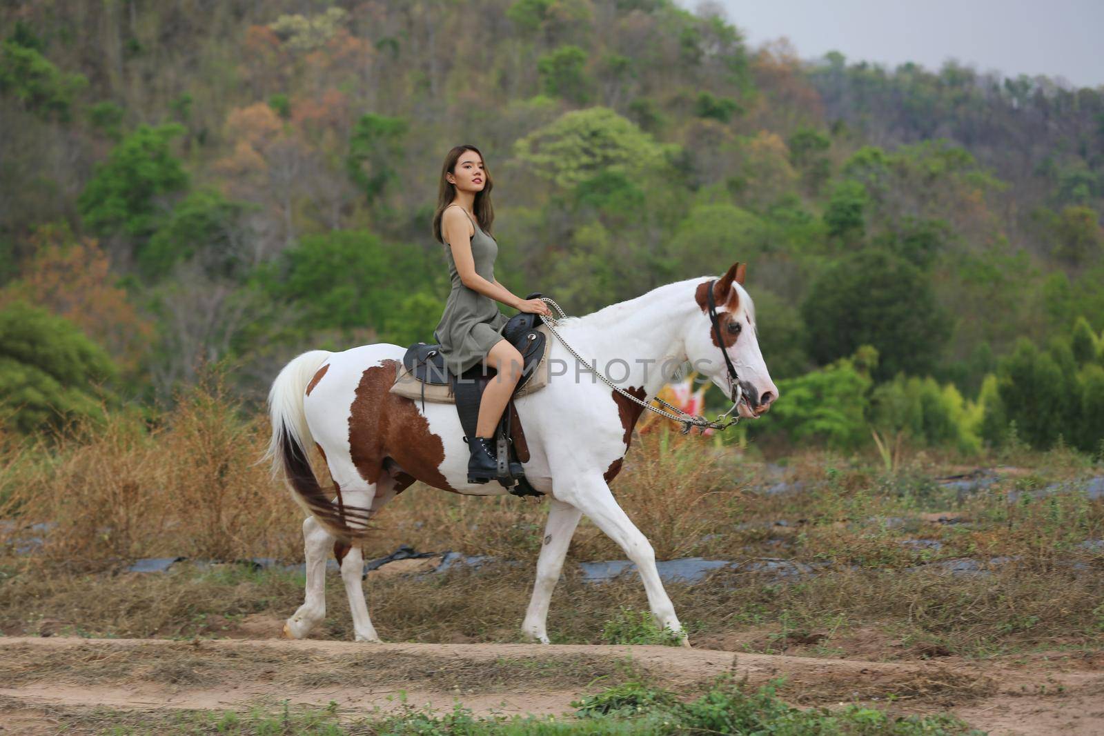 Women on skirt dress Riding Horses On field landscape Against Sky During Sunset