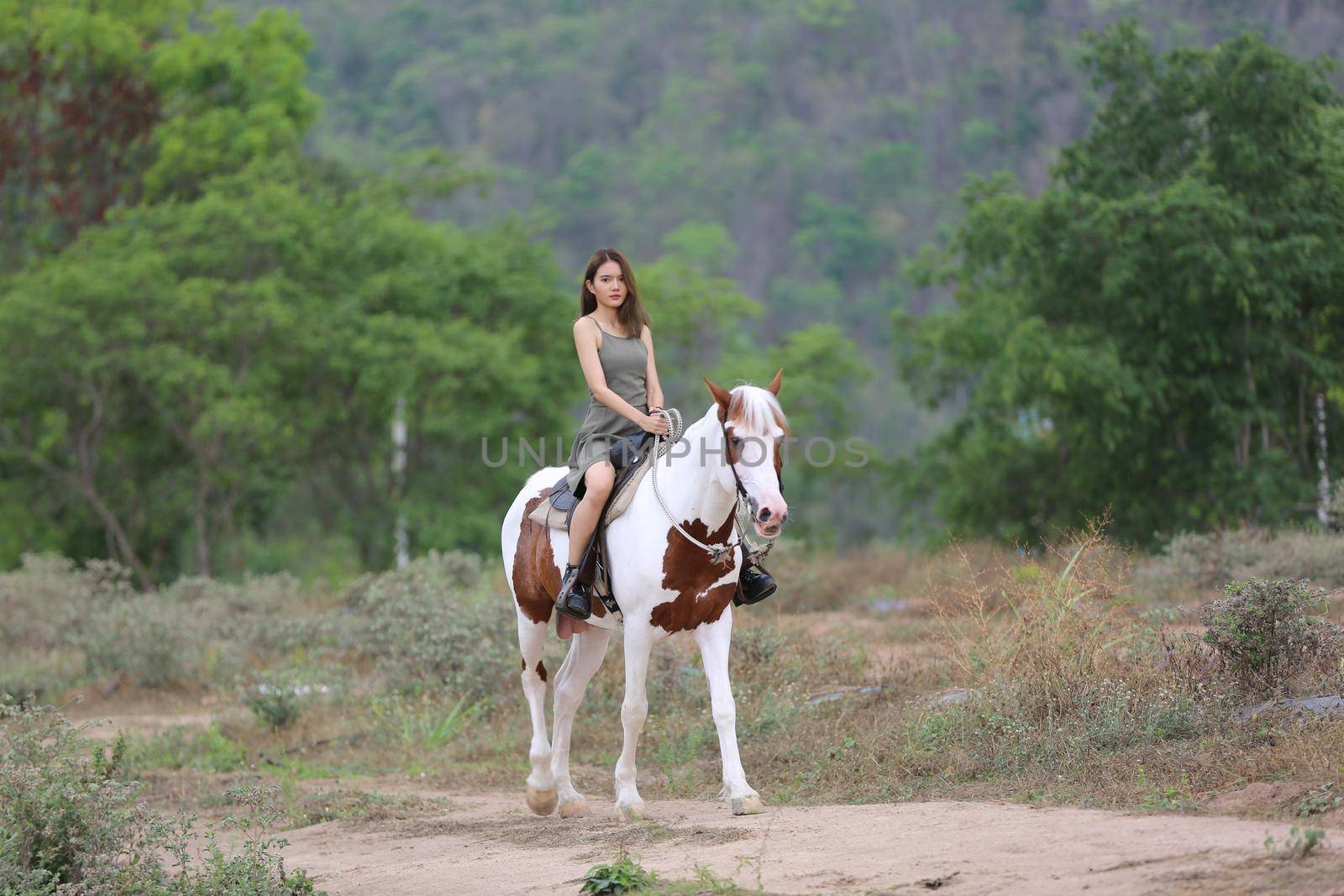 Women on skirt dress Riding Horses On field landscape Against Sky During Sunset