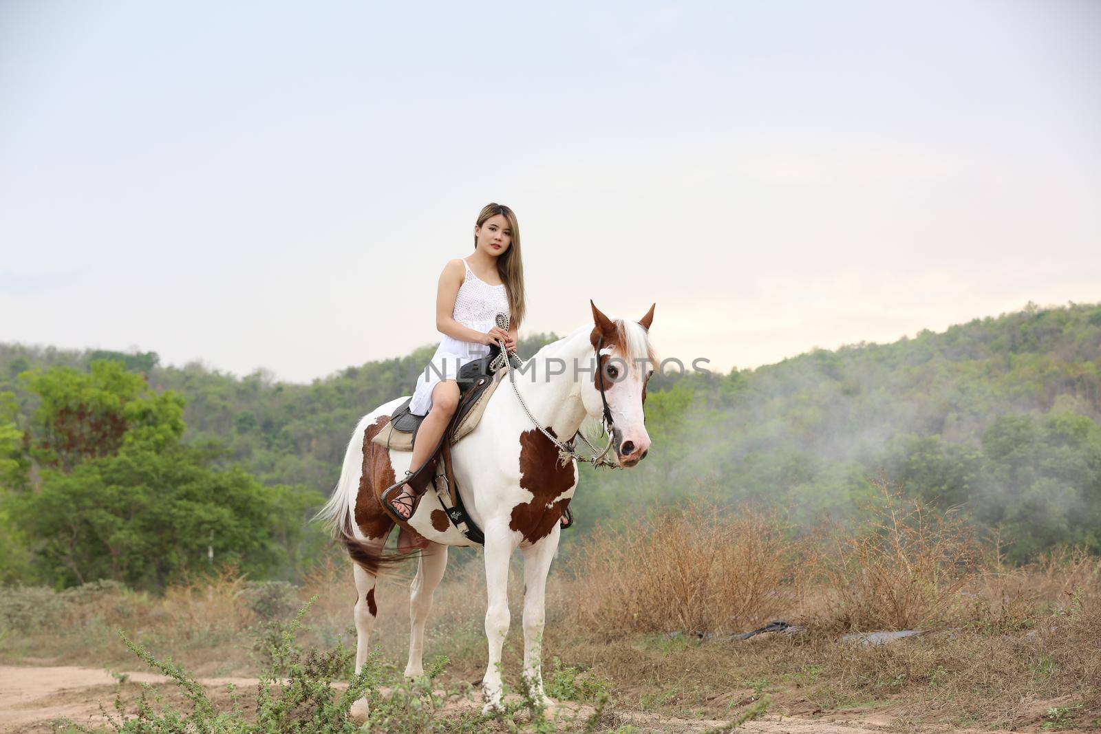 Women on skirt dress Riding Horses On field landscape Against Sky During Sunset