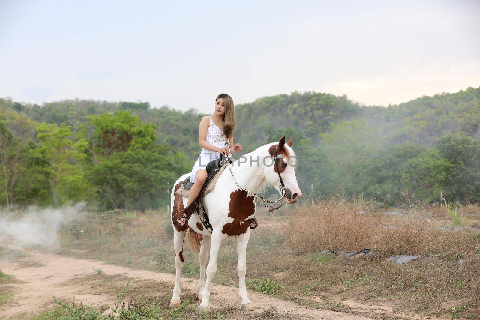 Women on skirt dress Riding Horses On field landscape Against Sky During Sunset