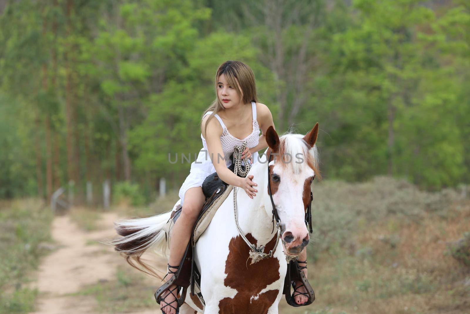 Women on skirt dress Riding Horses On field landscape Against Sky During Sunset