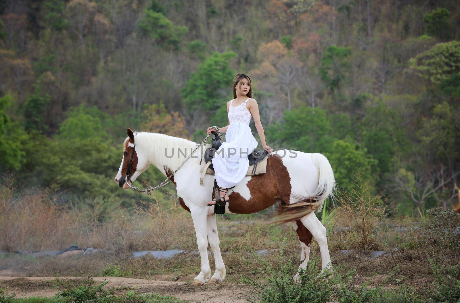 Women on skirt dress Riding Horses On field landscape Against Sky During Sunset