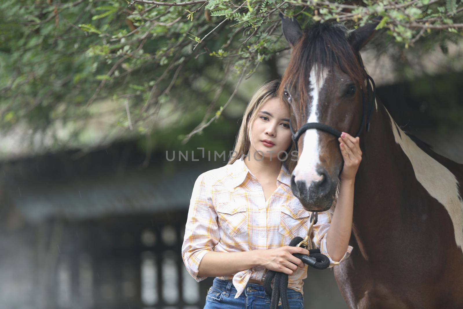 A woman in a cowgirl style sits in a horse ranch with a western farm environment.