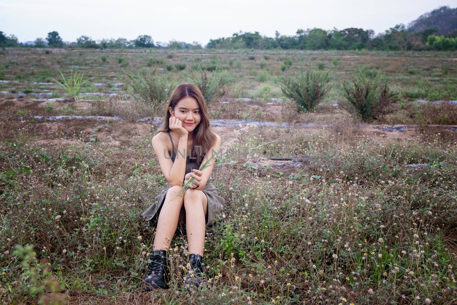 A beautiful woman with long hair in a dress sitting on a meadow and flowers in the evening light.