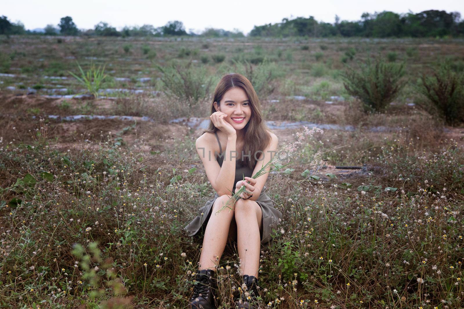 A beautiful woman with long hair in a dress sitting on a meadow and flowers in the evening light.