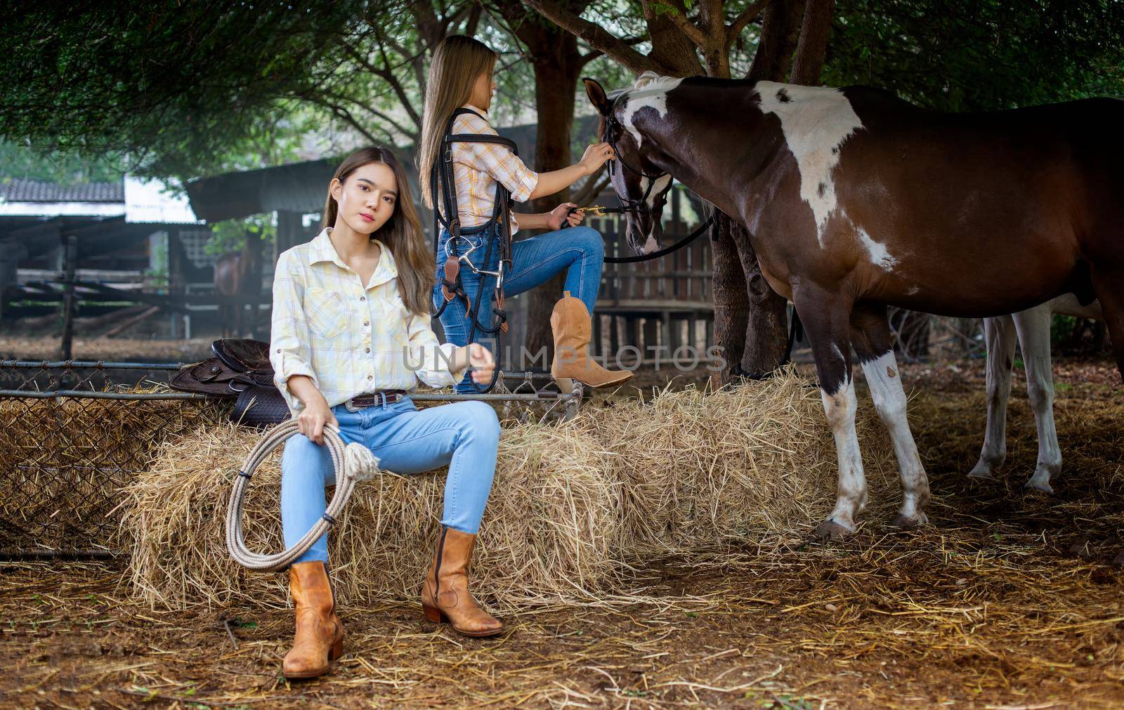 A woman in a cowgirl style sits in a horse ranch with a western farm environment. by chuanchai