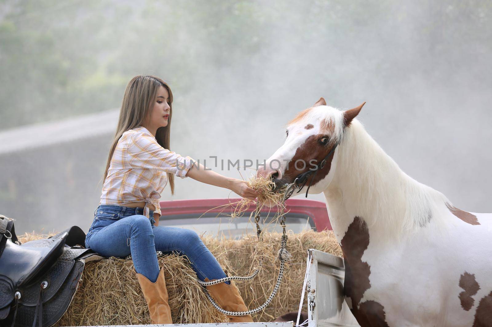 A woman in a cowgirl style sits in a horse ranch with a western farm environment.
