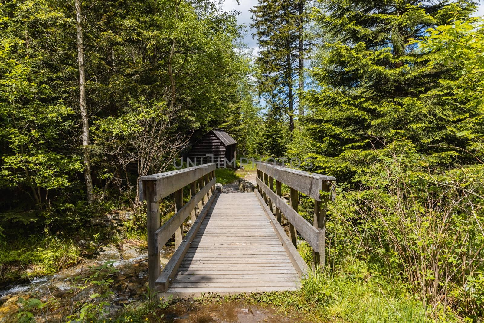 Small wooden bridge next to wooden bower on mountain trail in Giant Mountains by Wierzchu