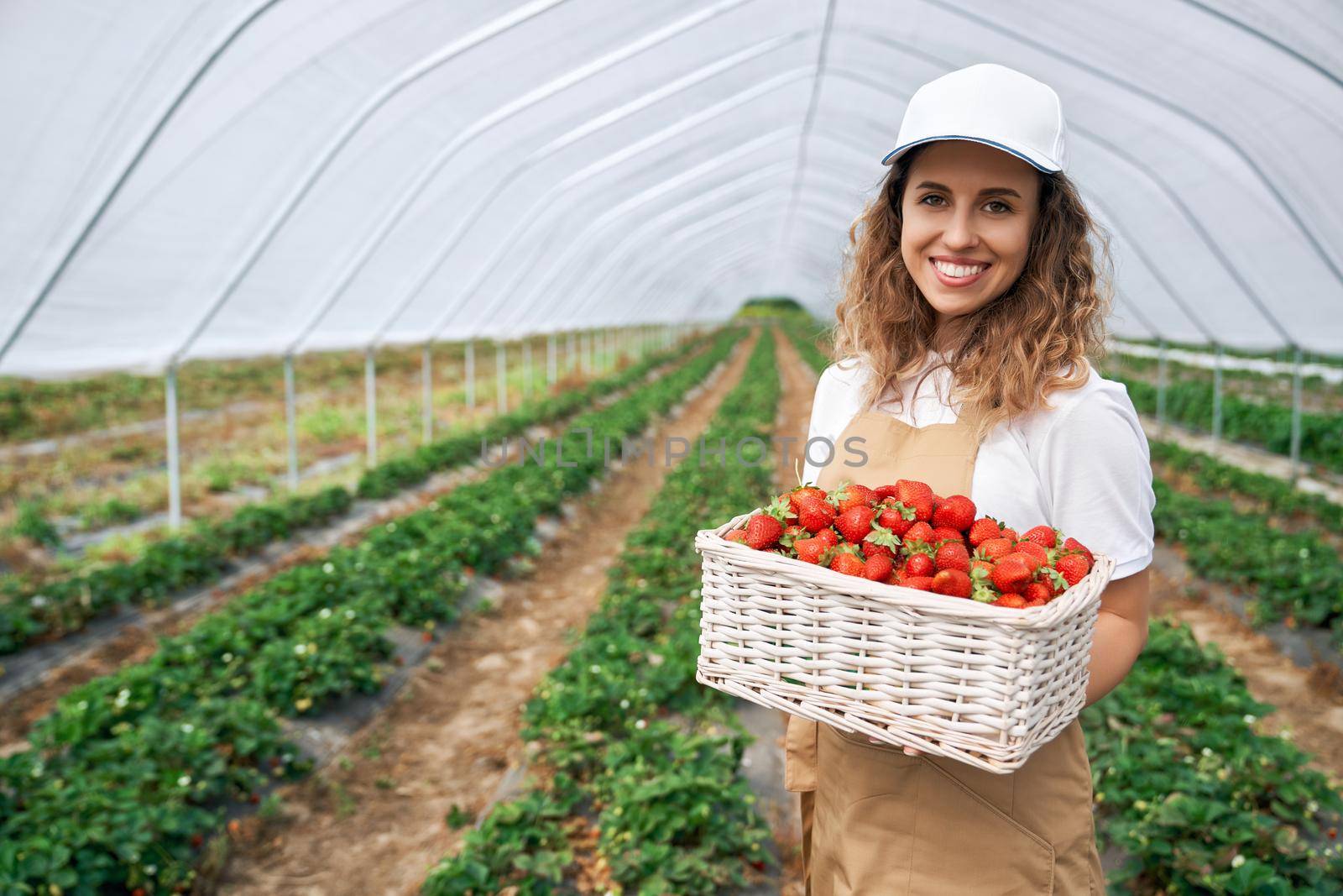 Curly brunette wearing cap harvested strawberries. by SerhiiBobyk