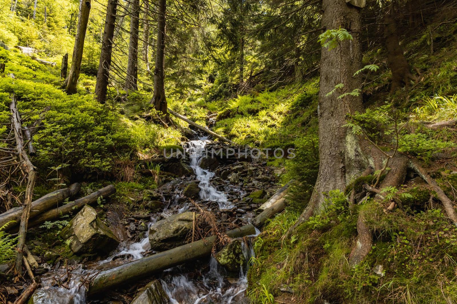 Small stony waterfall next to mountain trail in Giant Mountains by Wierzchu