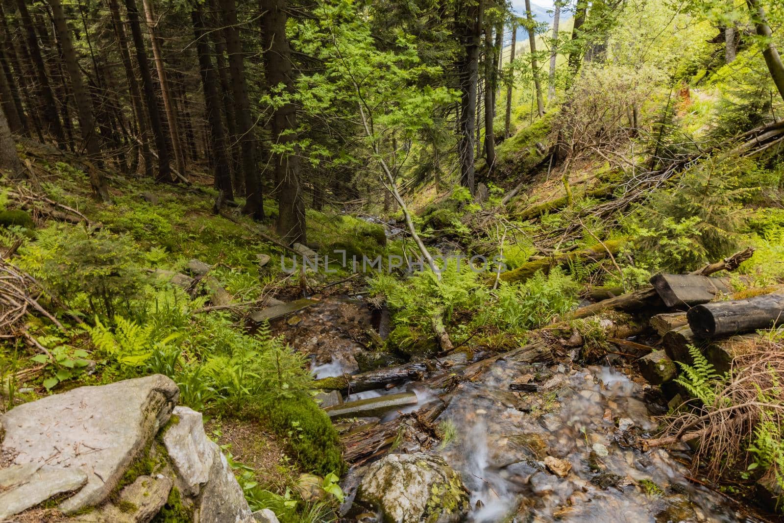 Small stony waterfall next to mountain trail in Giant Mountains