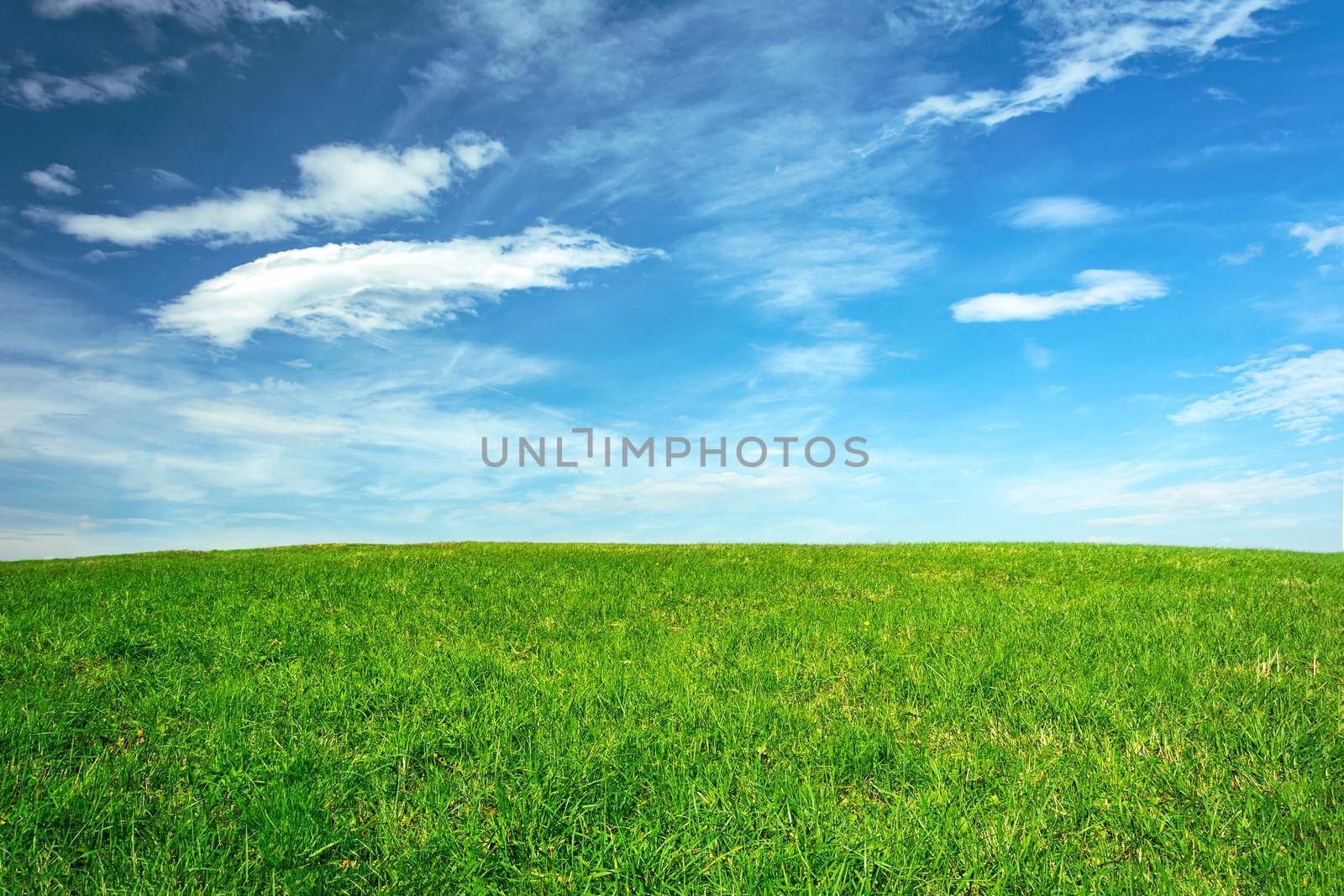 Idyllic agricultural landscape by wdnet_studio