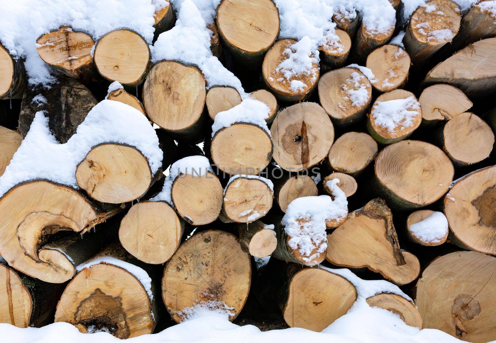 Firewood stacked in piles and covered with snow in the forest in close-up
