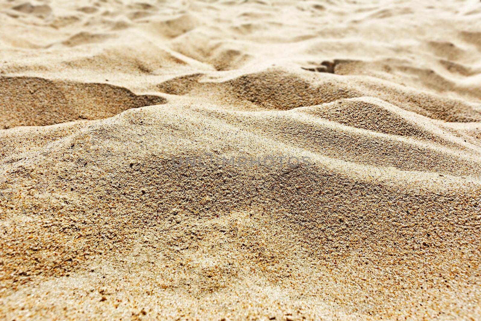 Sand dunes in the desert or on the beach in close-up in the deep sun