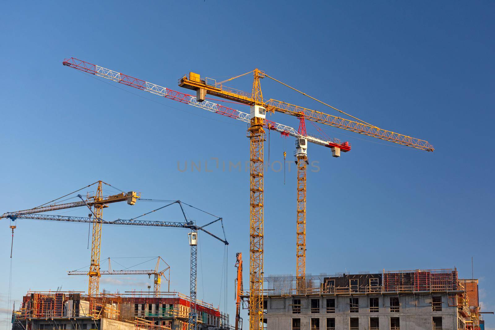 Building industry landscape - large cranes on the construction site on a blue sky background.