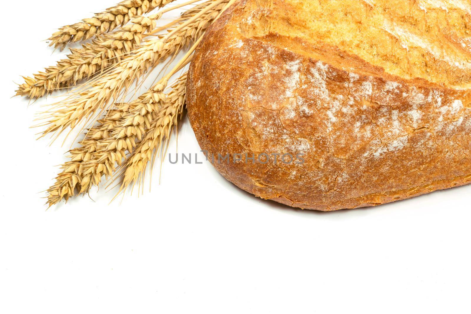 Fresh loaf of bread with wheat grains on a white background in close up.