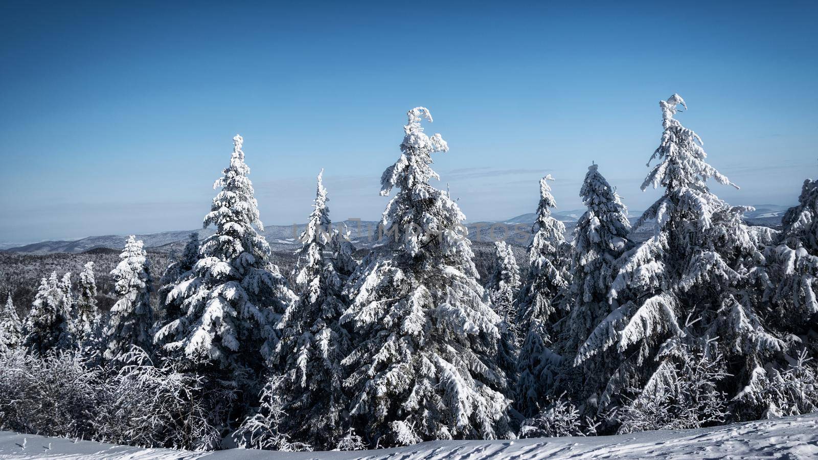 Winter mountain landscape by wdnet_studio