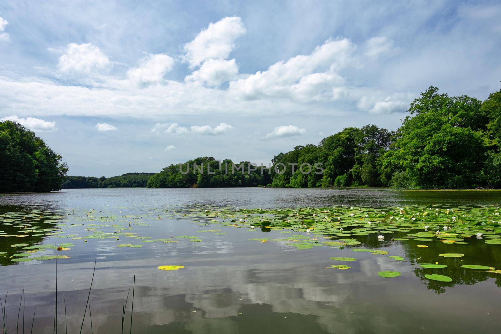 Lake at Hackeberga in Sweden by wdnet_studio