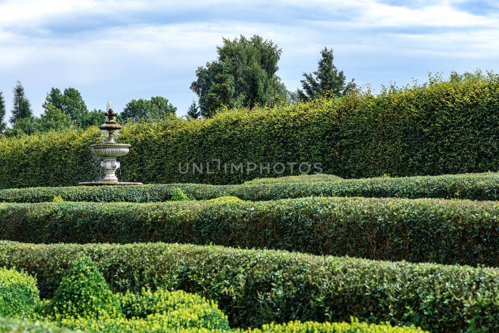 Classic garden with a hedge by wdnet_studio