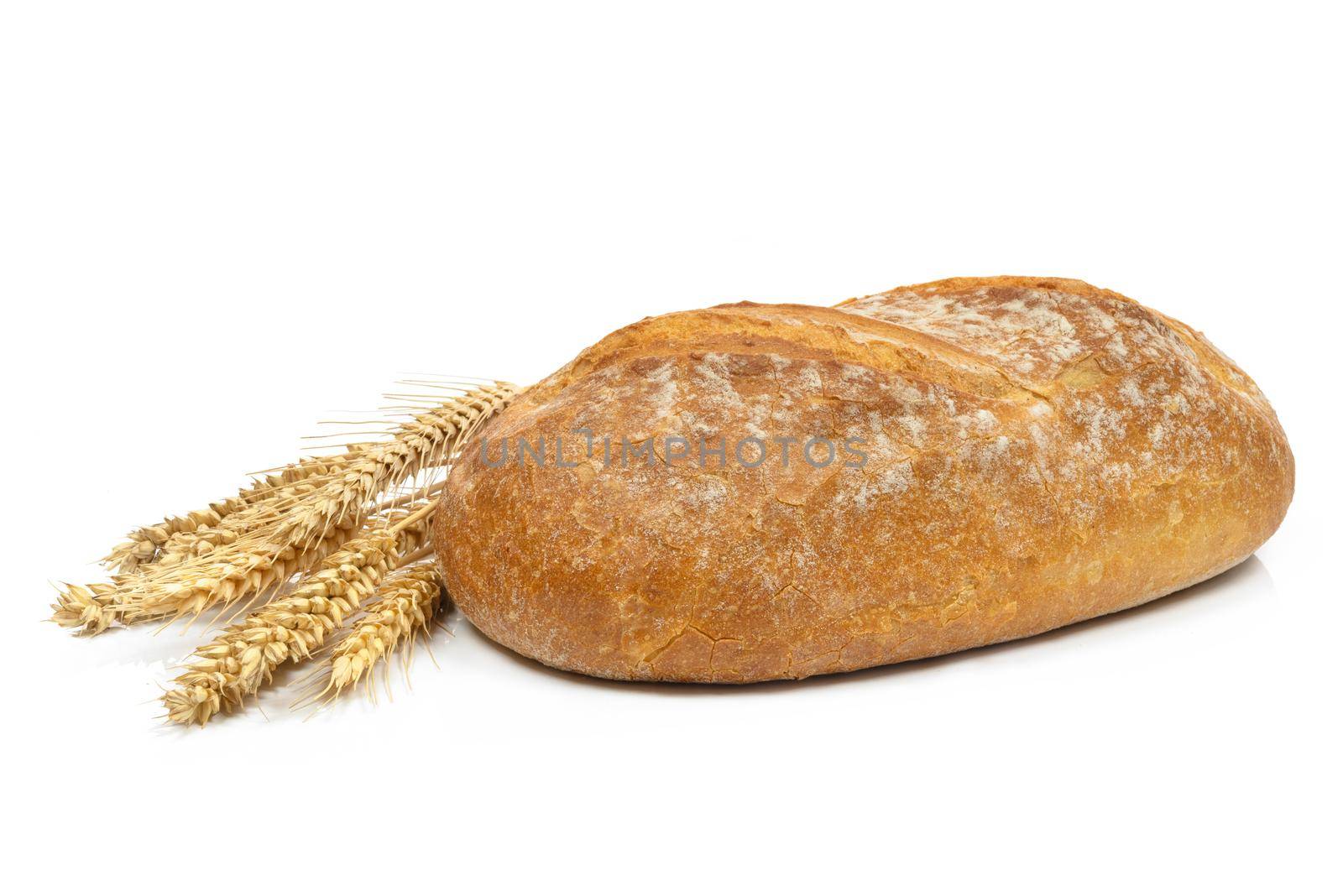 Fresh loaf of bread with wheat grains on a white background in close up.