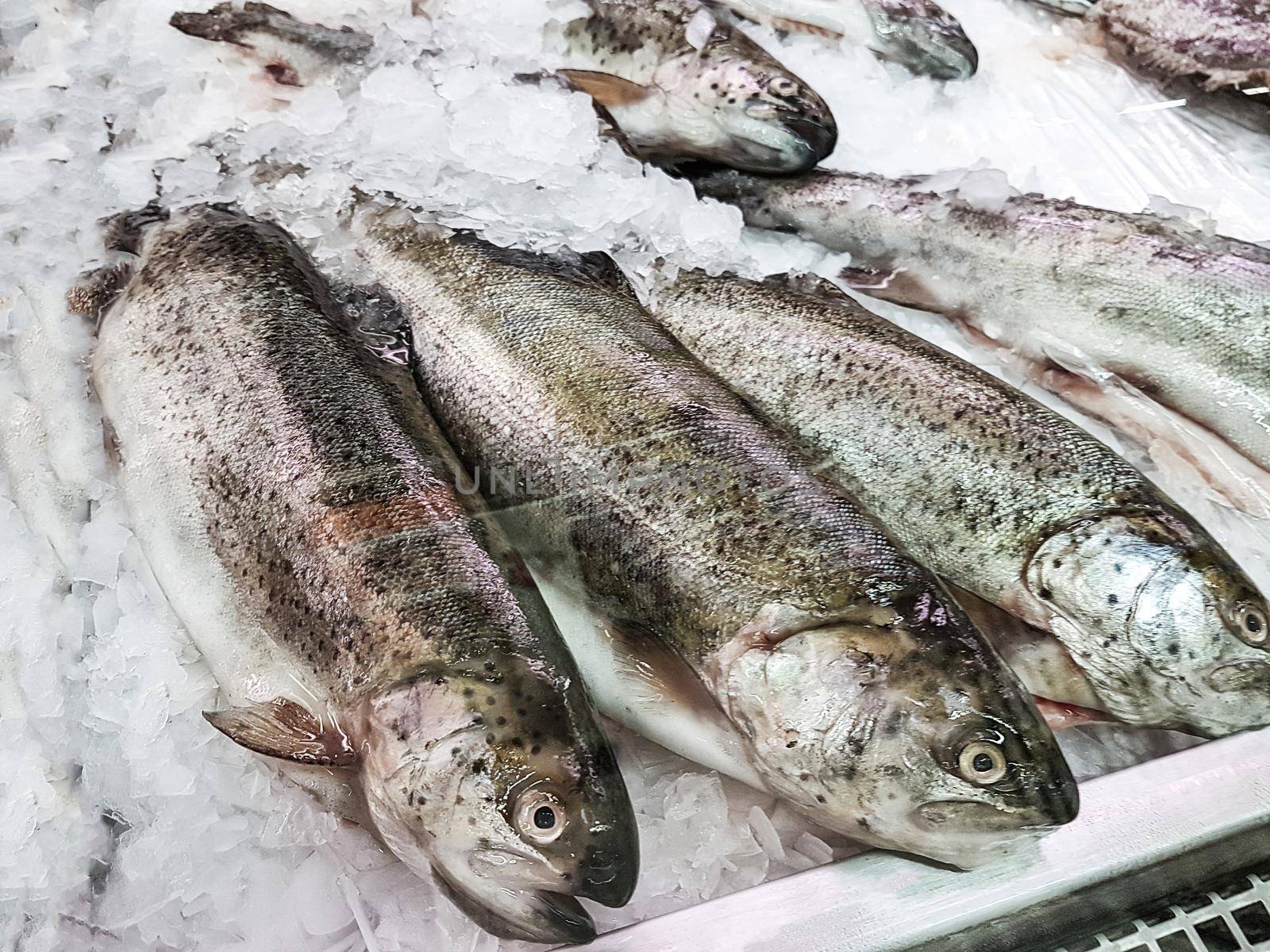 Fresh frozen fishes in ice  for sale in the supermarket in close-up