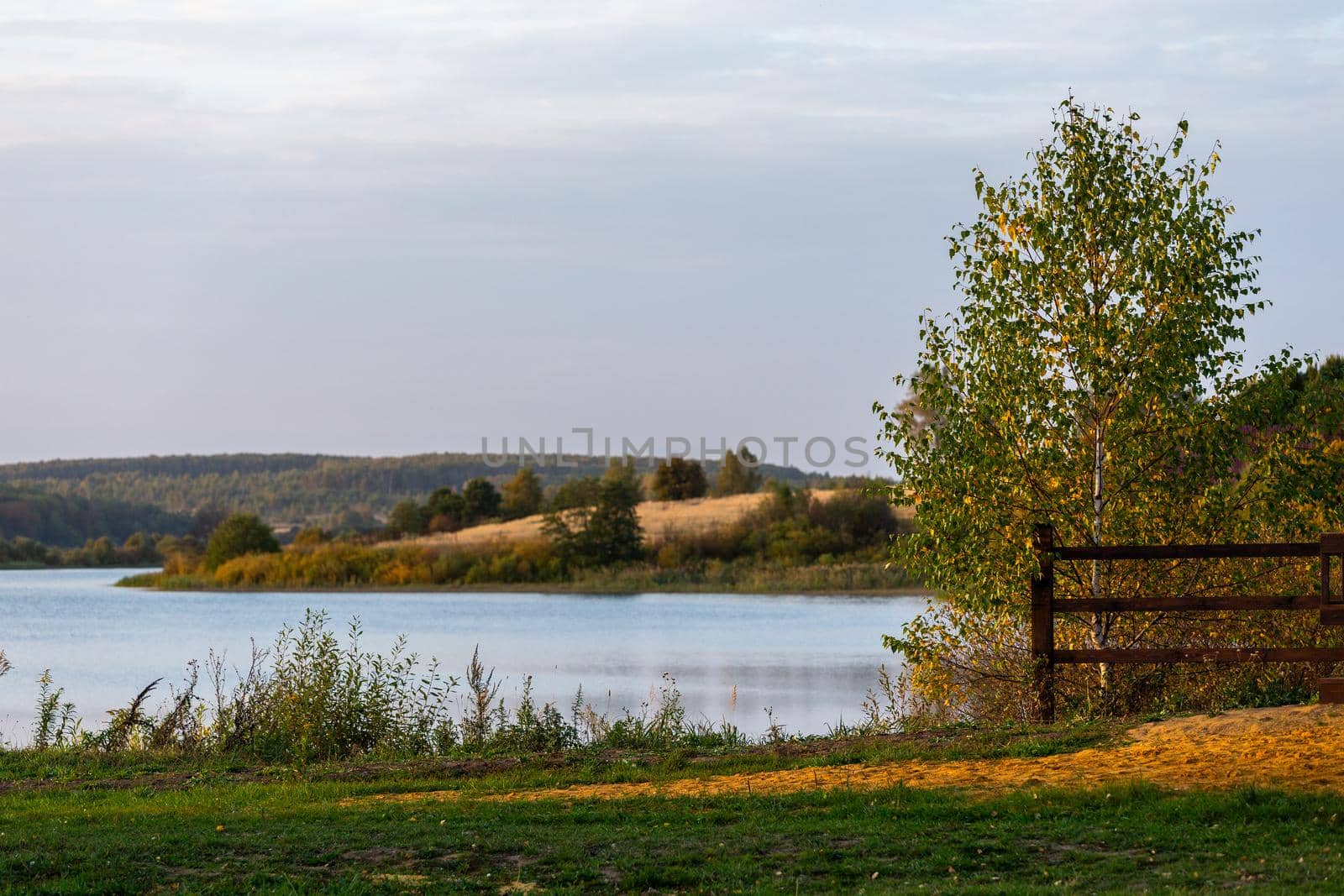 summer russian riverside nature view at daylight, telephoto with selective focus