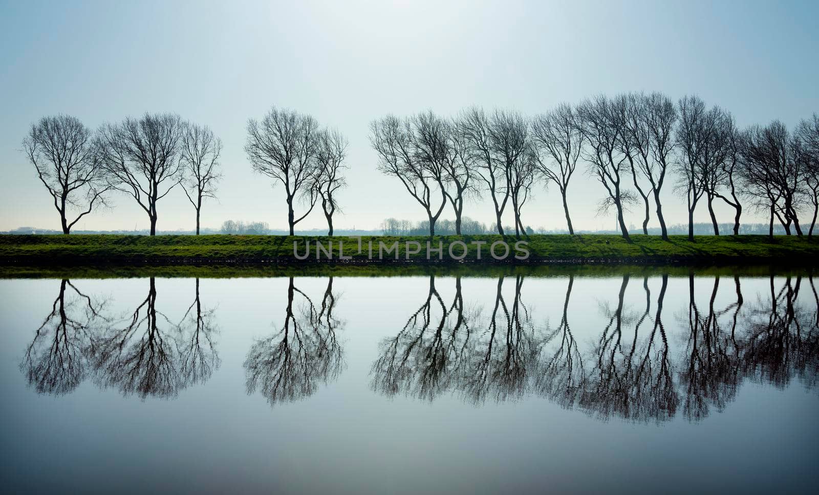 trees reflected in water of canal near middelburg in dutch province of zeeland on sunny day early spring