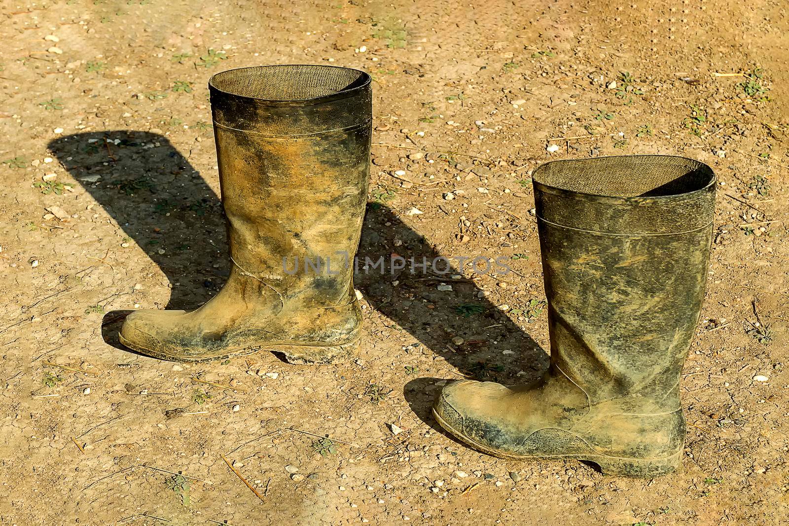 Two dirty rubber boots are on the ground. Sunny autumn day. Front view. by Essffes