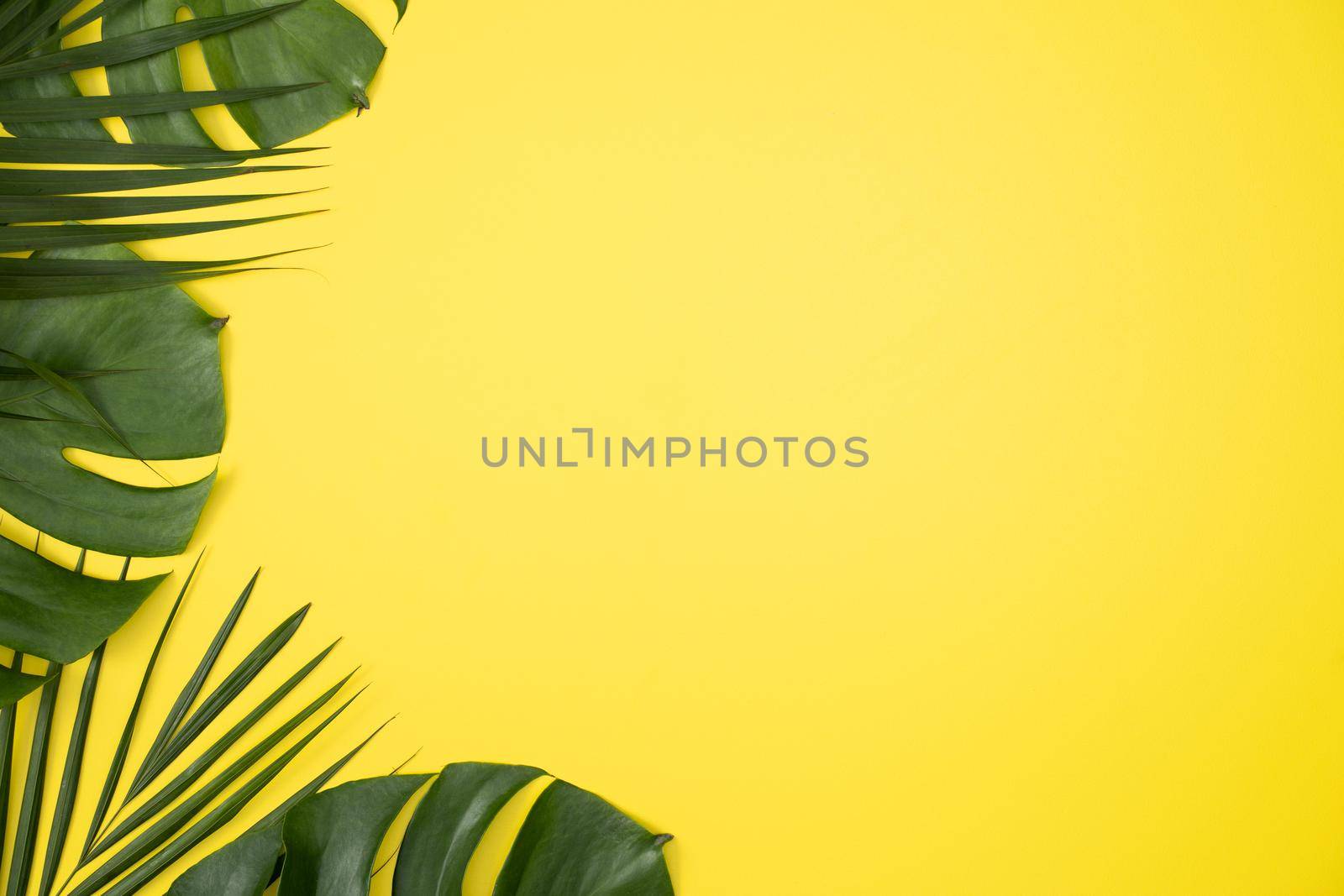 Top view of tropical palm leaves branch isolated on bright yellow background with copy space.