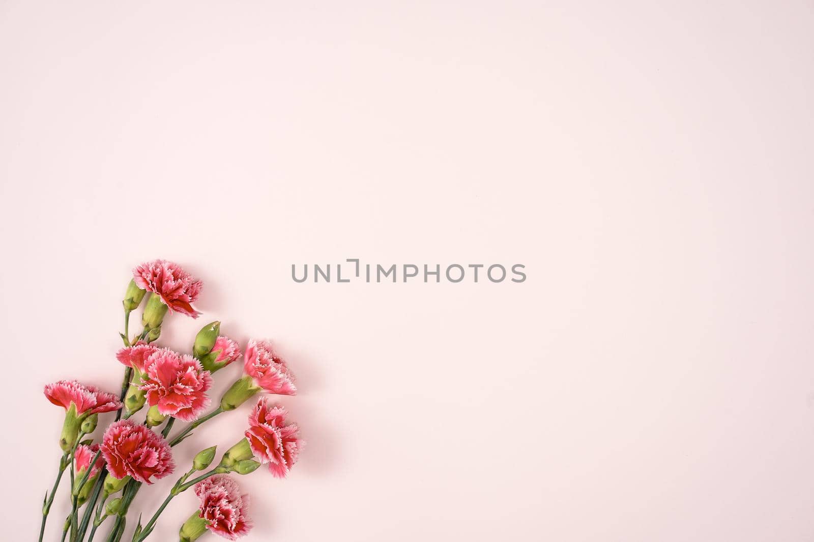 Design concept of Mother's day holiday greeting design with carnation bouquet on pastel pink table background