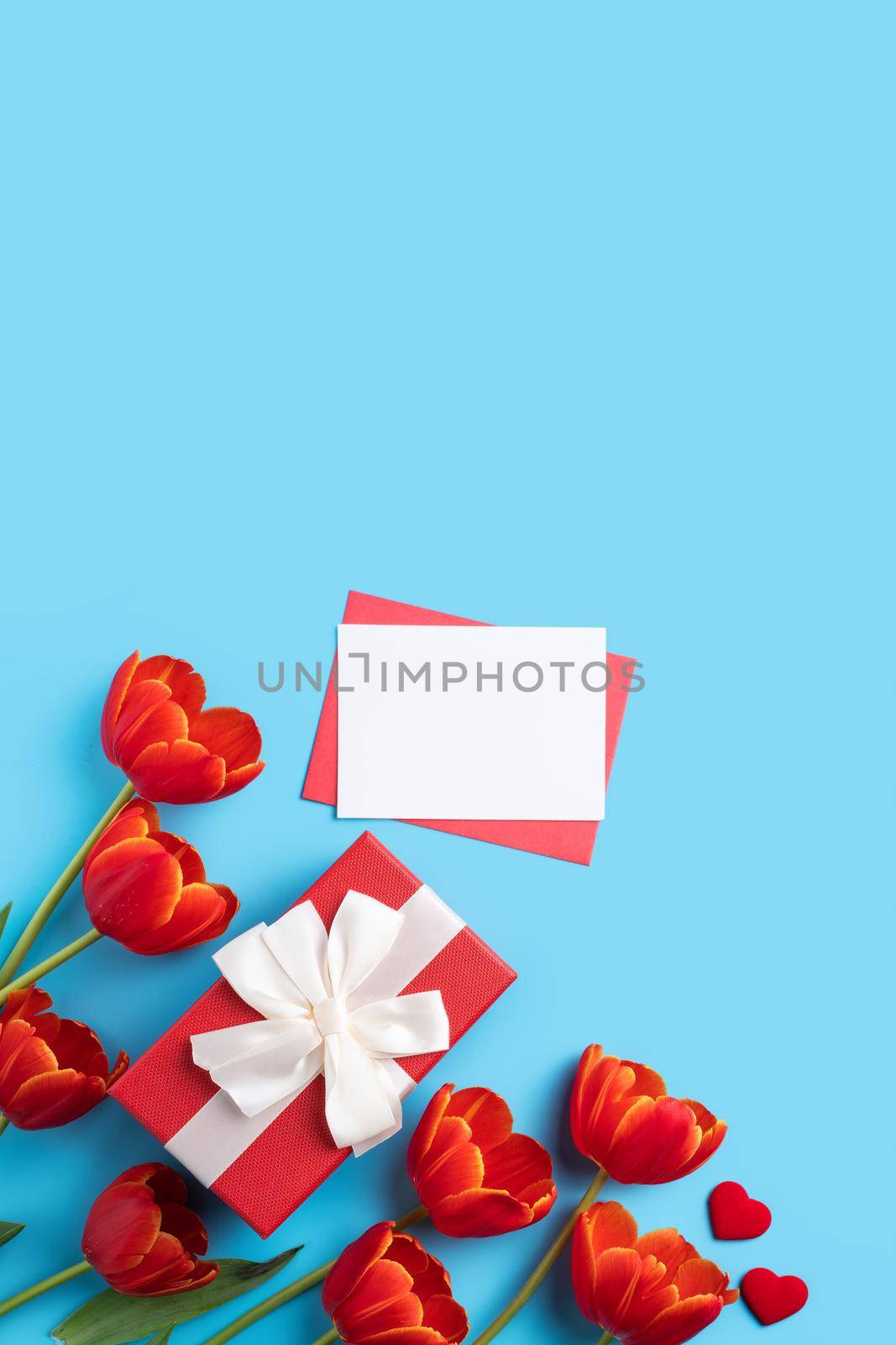 Design concept of Mother's day holiday greeting gift with red tulip bouquet and card on bright blue table background