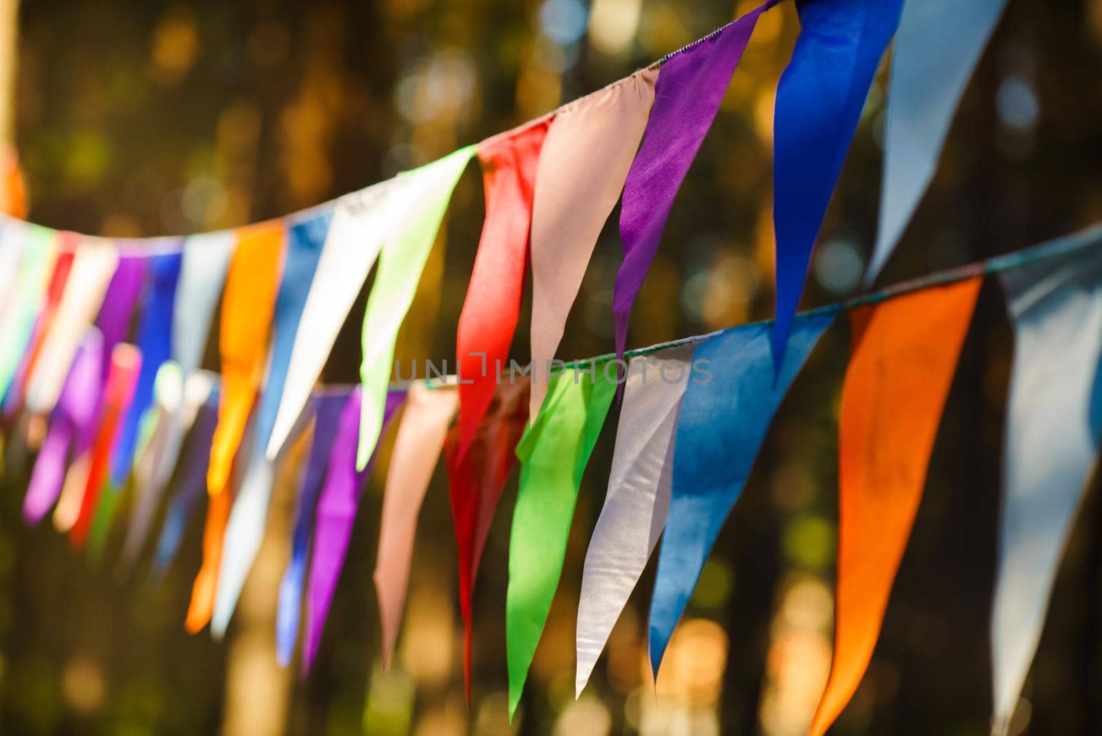 Carnival Garland with Flags, Decorative Party Pennants for Birthday Celebration, Festival and Fair Decoration, Hanging Flags, Bunting Flags ,Triangle Fabrics Hanging on the Rope, Bunting Background