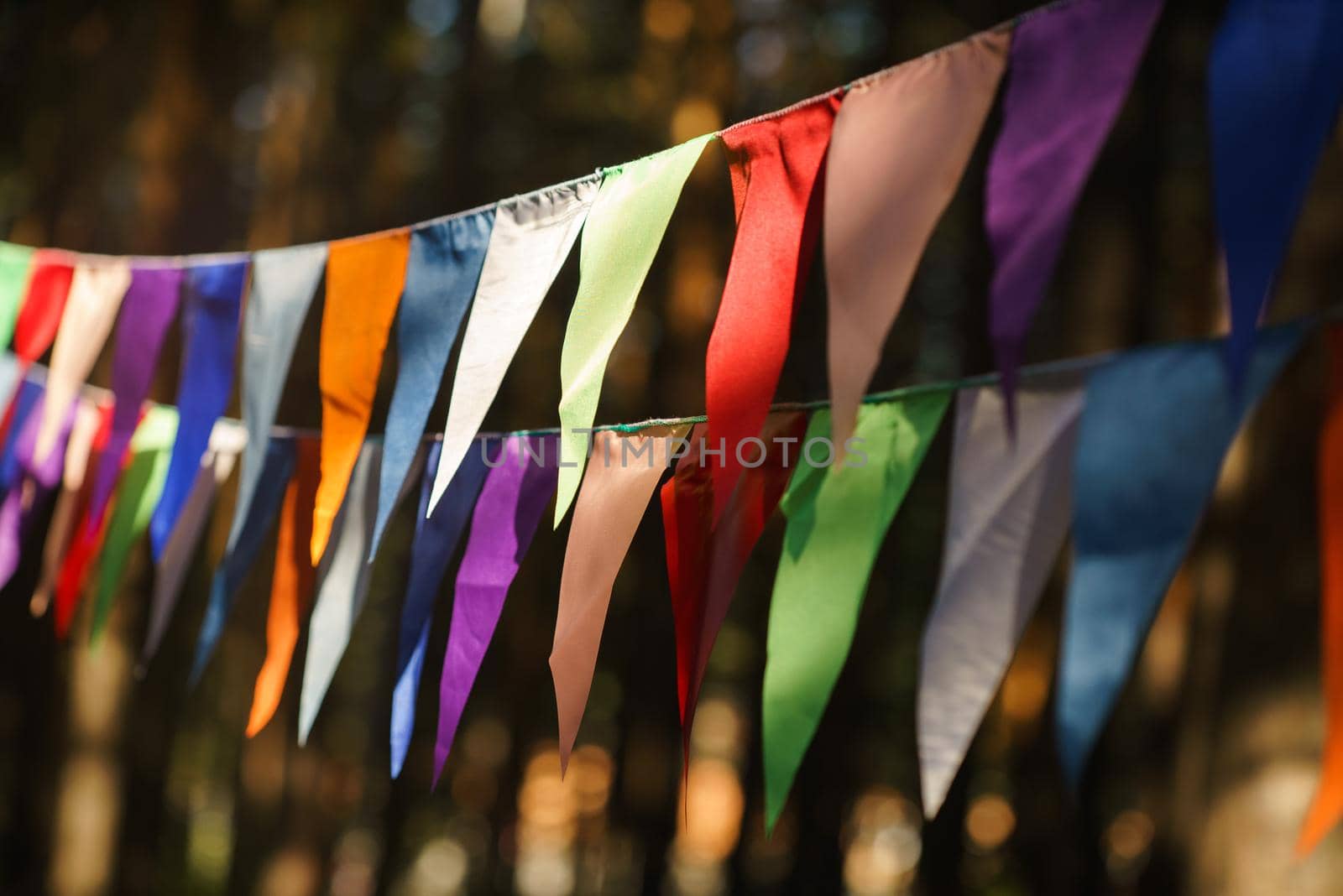 Carnival Garland with Flags, Decorative Party Pennants for Birthday Celebration, Festival and Fair Decoration, Hanging Flags, Bunting Flags ,Triangle Fabrics Hanging on the Rope, Bunting Background