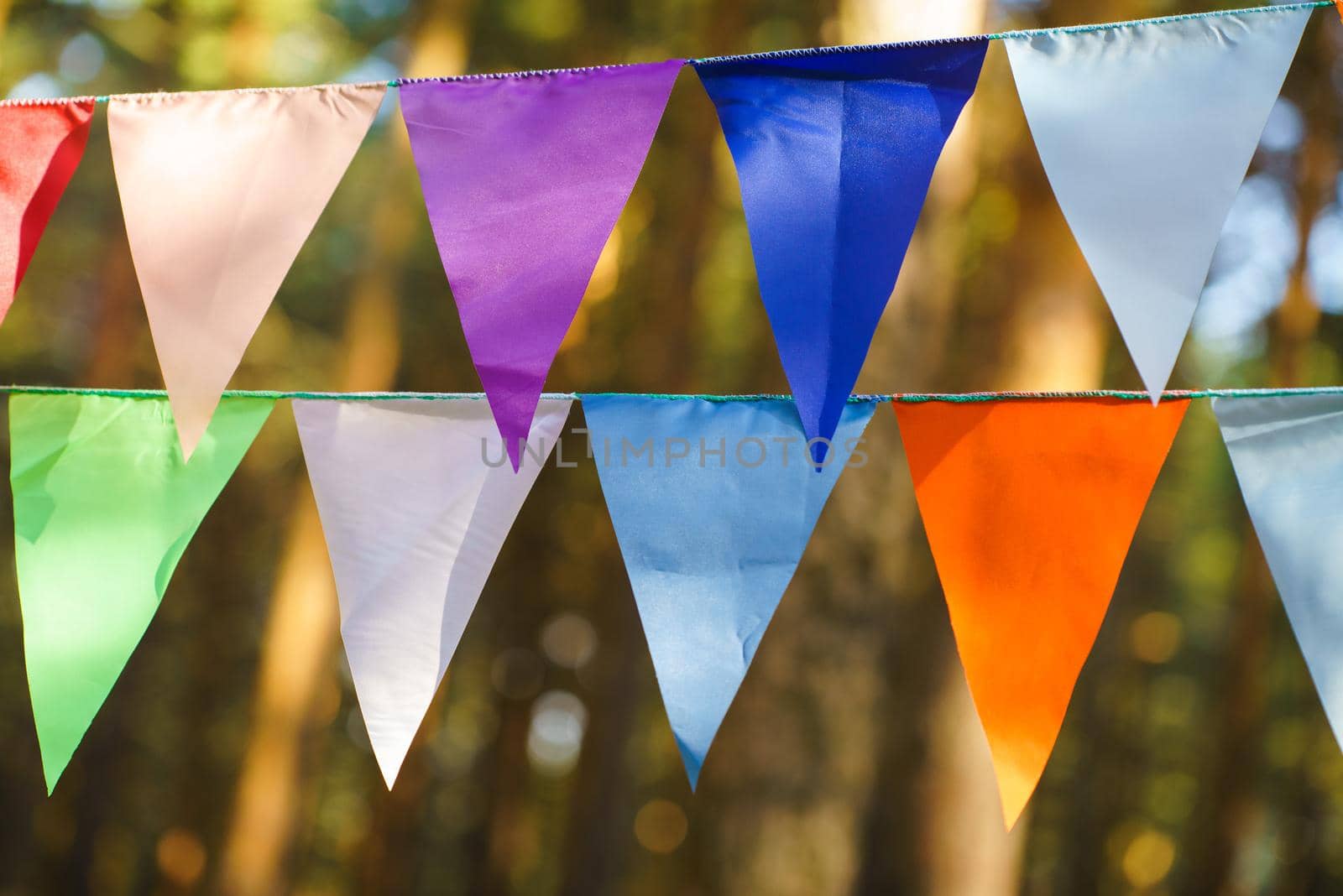 Carnival Garland with Flags, Decorative Party Pennants for Birthday Celebration, Festival and Fair Decoration, Hanging Flags, Bunting Flags ,Triangle Fabrics Hanging on the Rope, Bunting Background