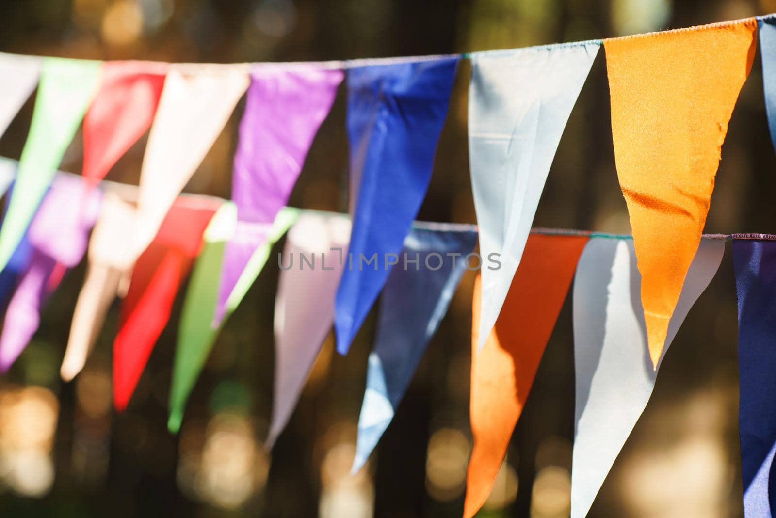 Carnival Garland with Flags, Decorative Party Pennants for Birthday Celebration, Festival and Fair Decoration, Hanging Flags, Bunting Flags ,Triangle Fabrics Hanging on the Rope, Bunting Background