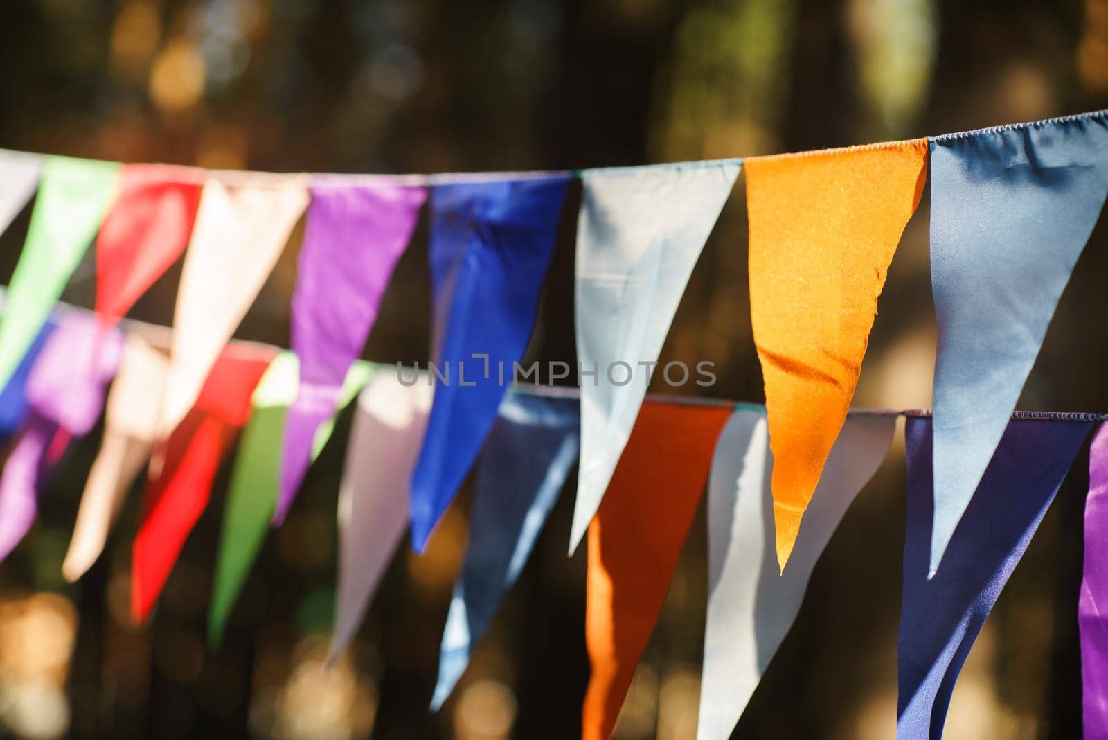 Carnival Garland with Flags, Decorative Party Pennants for Birthday Celebration, Festival and Fair Decoration, Hanging Flags, Bunting Flags ,Triangle Fabrics Hanging on the Rope, Bunting Background