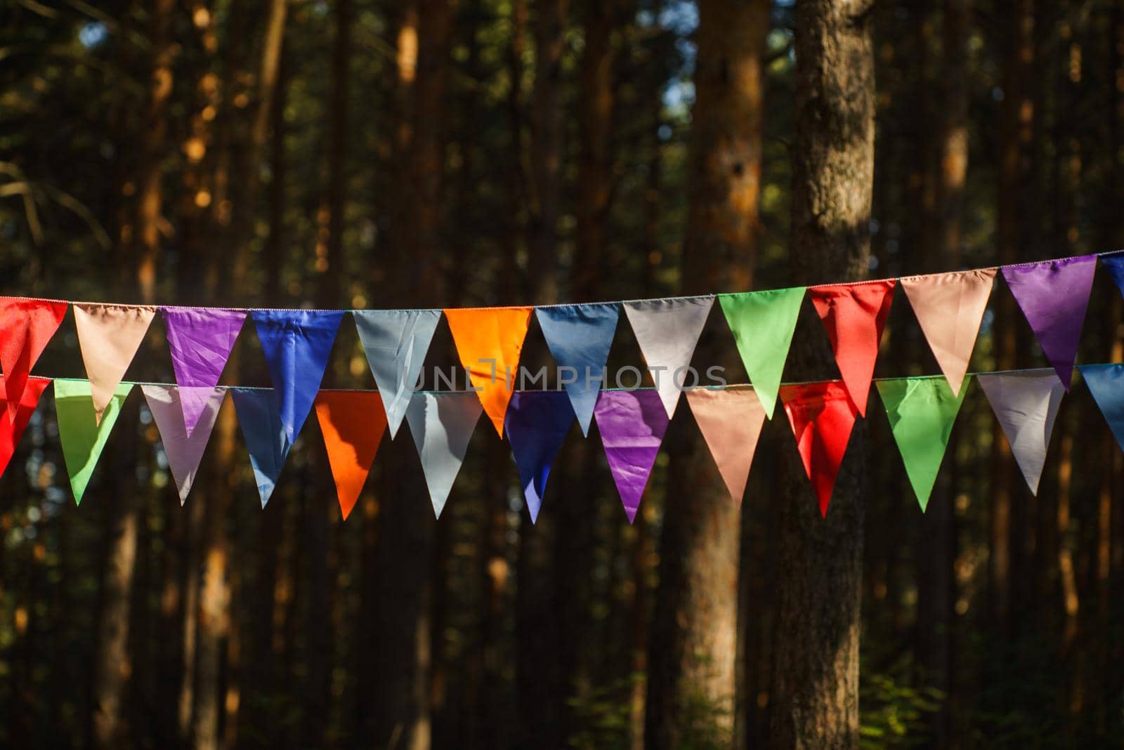 Carnival Garland with Flags, Decorative Party Pennants for Birthday Celebration, Festival and Fair Decoration, Hanging Flags, Bunting Flags ,Triangle Fabrics Hanging on the Rope, Bunting Background